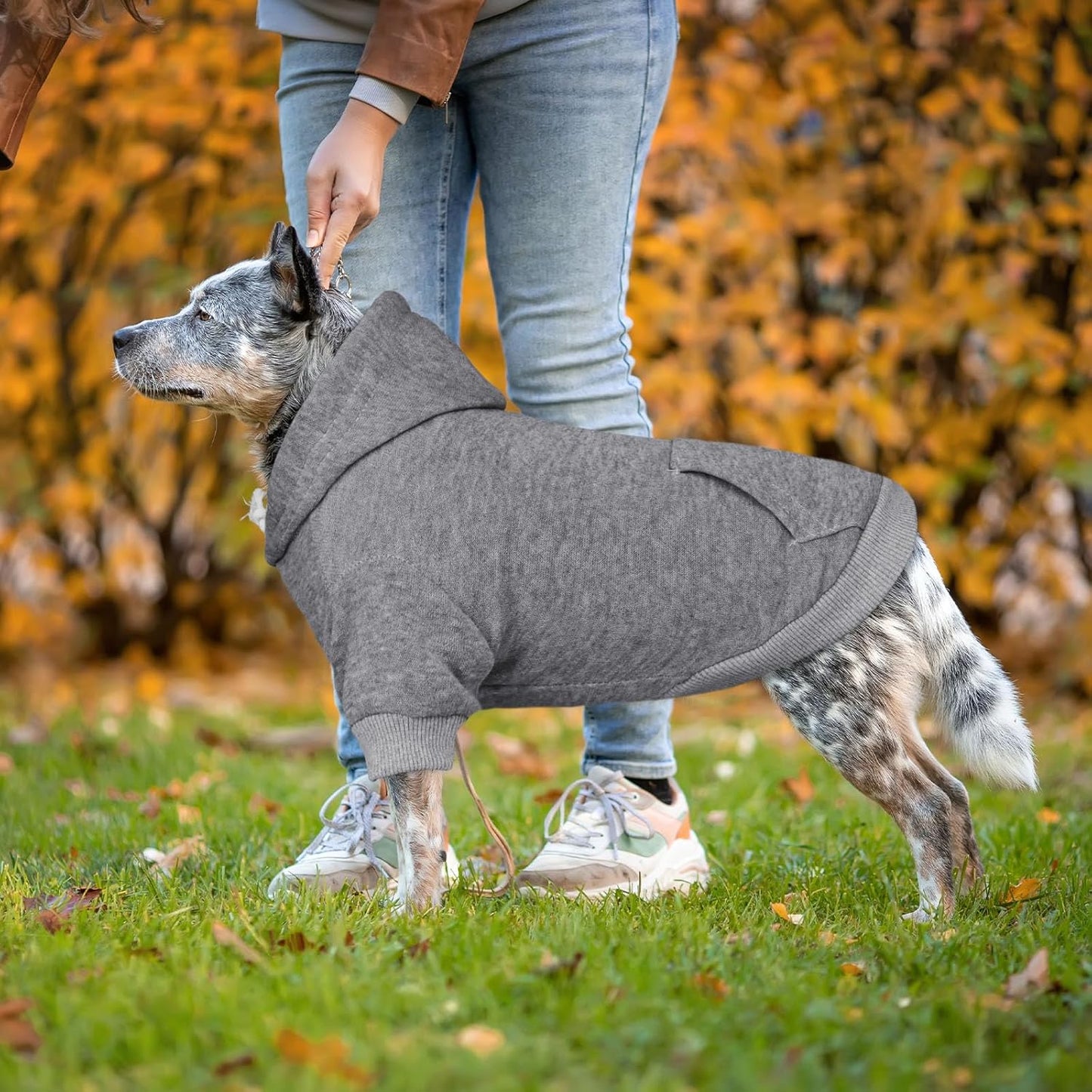 Dog Hoodie Dog Sweaters for Large Dogs Dog Sweater Solid Soft Brushed Fleece Dog Clothes Dog Hoodie Sweatshirt with Pocket(Grey-XXL)