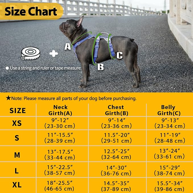 Escape Proof Harness for Dogs, No Escape Dog Harness, No Pull Dog Harness for Small Dogs with Handle, Reflective, Breathable,Durable, Adjustable Vest for Walking,and Running Gear(Vista Blue,S)