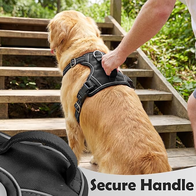Dog Harness for X-Large Dog No Pull, Adjustable Pet Vest Harness, Vertical Handle Easy Control with 2 Leash Clips, Soft Material, Reflective Safe Night Walking for X-Large Size, Black, XL