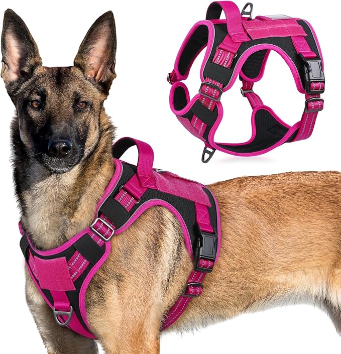 rabbitgoo Tactical Dog Harness for X-Large, No Pull Military Service Vest | Molle & Handle, Heavy Duty, Adjustable, Reflective Straps, Easy Control for Training Walking, Black & Rose Red, X-Large