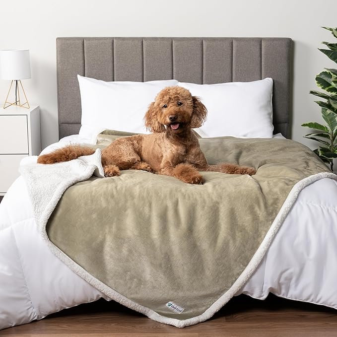 PetAmi Waterproof Dog Blanket for Medium Large Dog Puppy Cat Throw for Couch Cover Leakproof Protection, Sherpa Fleece, Reversible Soft Washable 60x40 Taupe