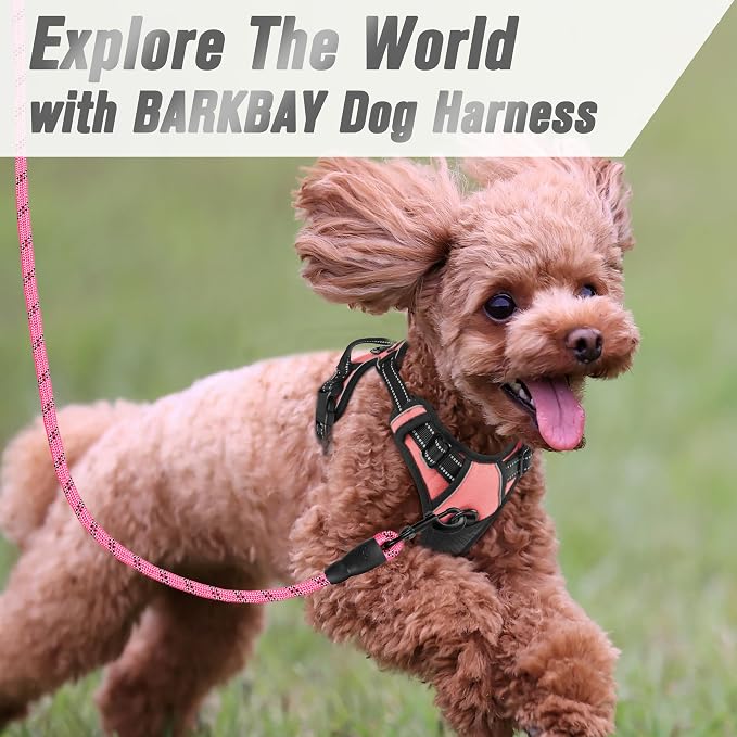 BARKBAY Dog Harness No Pull for Small Sized Dog Front Back Clips,Dog Vest | Soft Padded No Choke With Handle,Easy On&Off,Adjustable Reflective For Walking Training Running(Light Pink,XS)