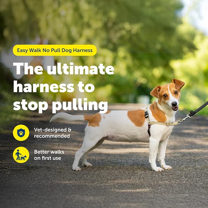 PetSafe Easy Walk Harness, No Pull Dog Harness, Fawn, Small | Patented Martingale Loop Gives Gradual Shoulder Pressure to Stop Pulling, Front-Chest Leash Clip Prevents Gagging