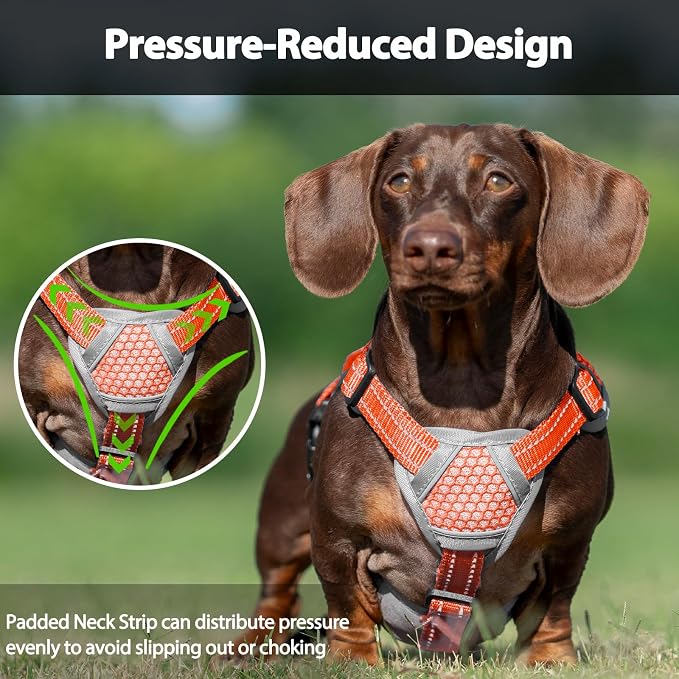 Escape Proof Dog Harness, Dachshund Harness, Reflective Dog Harness with Handle, Durable,Adjustable Vest for Small Medium Large Dogs Walking, Training, and Running Gear (Orange,L)