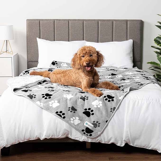 PetAmi Waterproof Dog Blanket for Medium Large Dogs, Pee Proof for Couch Bed, Reversible for Puppy Indoor Cat, Soft Fleece Washable, 40x60 Paw Gray