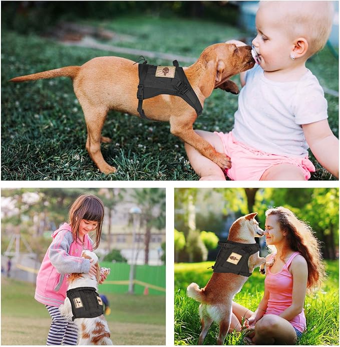 Tactical Service Dog Vest Harness K9 Military Molle Dog Vest for Outdoor Training Wear-Resisting Pet Harness with Rubber Handle & Metal Buckle