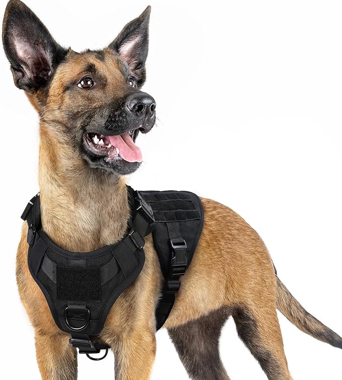 rabbitgoo Tactical Dog Harness for Small, Heavy Duty Military No Pull Vest | Sturdy Metal Buckles, 5 Adjustments, Molle System, Powerful Pullers for Training, Hunting, Outdoor, Black, Small