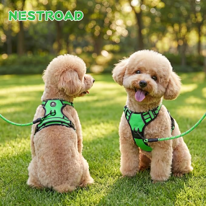NESTROAD No Pull Dog Harness,Adjustable Oxford Dog Vest Harness with Leash,Reflective No-Choke Pet Harness with Easy Control Soft Handle for Small Dogs(Small,FluorescentGreen)