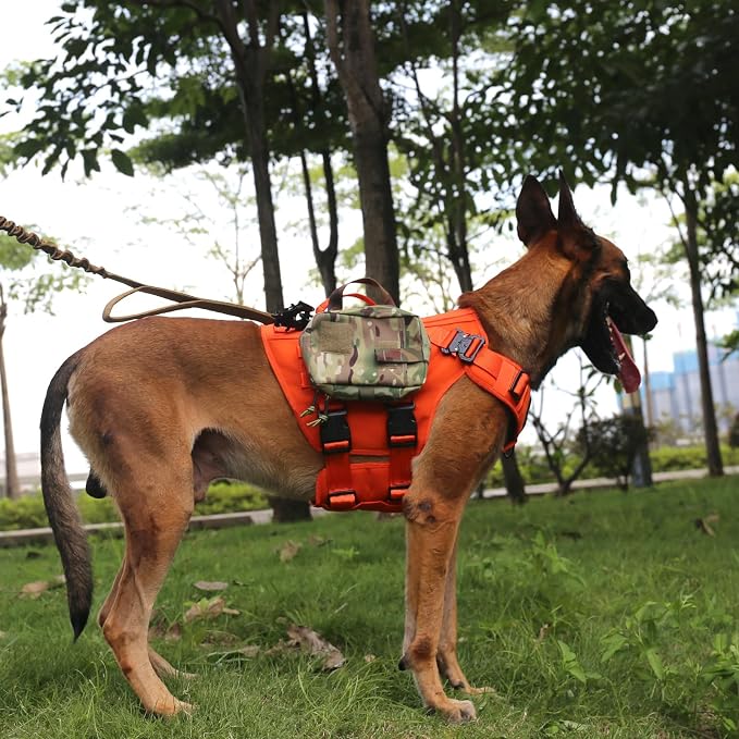 ICEFANG GN3 Tactical Dog Harness with 6X Buckle,Dog Molle Vest with Handle,3/4 Body Coverage,Hook and Loop Panel for ID Patch,No Pulling Front Clip (L (28"-35" Chest), Orange) | Control Handle,MOLLE Panel,Front Hook,3 Leash Clips,Soft Padded,for Walkin...