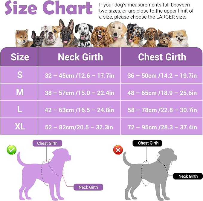 Dog Harness No Pull, Adjustable Pet Vest Harness, Super Soft Material with Vertical Handle Easy Control, Reflective Night Walking, 2 Leash Clips for Medium Sized Dogs, Purple, M