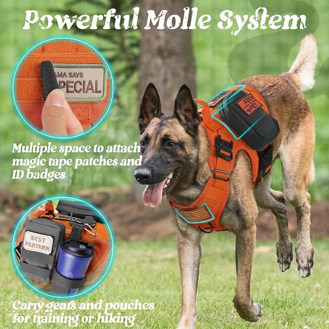 rabbitgoo Tactical Dog Harness for Small, Heavy Duty Military No Pull Vest | Sturdy Metal Buckles, 5 Adjustments, Molle System, Powerful Pullers for Training, Hunting, Outdoor, Orange, Small