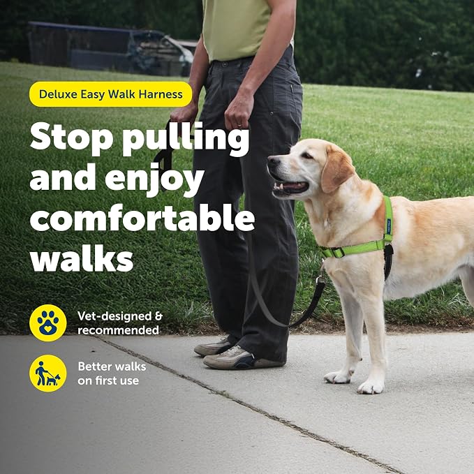 PetSafe Deluxe Easy Walk No Pull Dog Harness, Apple Green, Medium/Large | Padded Neoprene Straps, Reflective Strips for Night Safety, Martingale Loop Curbs Pulling from the Chest, Not the Throat
