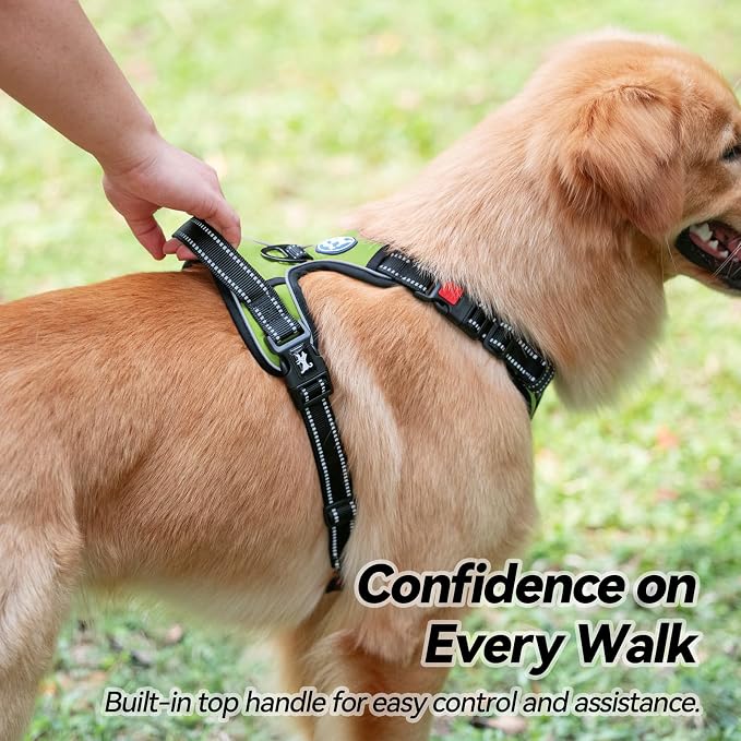 PoyPet No Pull Dog Harness Medium with Front Clip & Neck Release Buckle | No Choke, Adjustable Vest, Reflective, Back Clip, Lockable, Soft Padded, Easy Control Handle for Walking Training, M, Green
