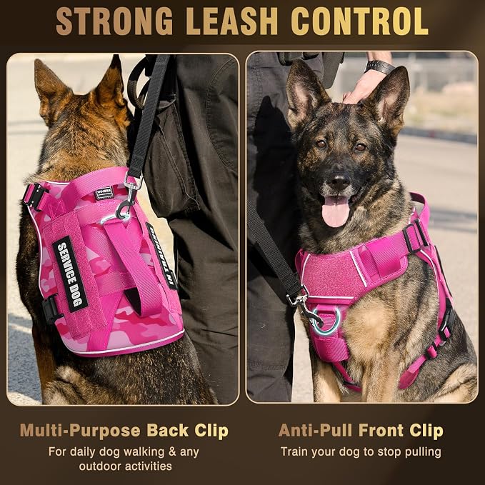 2X Metal Buckle Service Working MOLLE Dog Vest with 10 Pet Patches | Tactical Dog Harness for Medium Dog, No-pull Military Working Vest for Training Hunting Walking，2x D Rings for Leash Clip