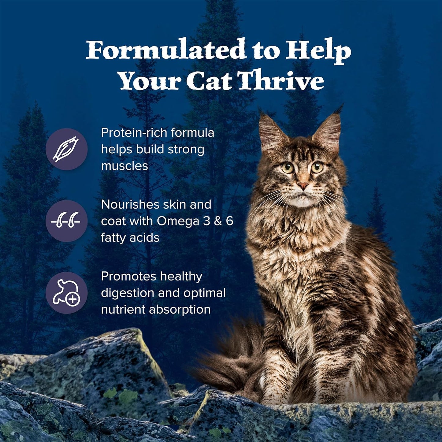 Blue Buffalo Wilderness Natural Adult Dry Cat Food, High-Protein and Grain-Free Diet, Supports Healthy Muscle Development and a Healthy Immune System, Chicken, 12-lb. Bag
