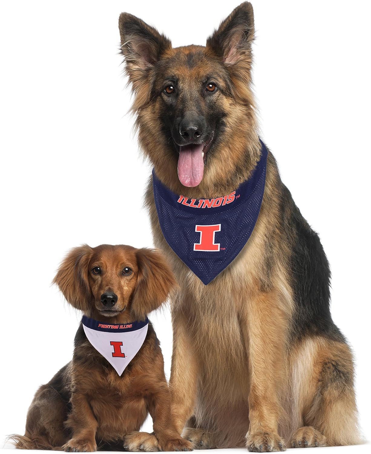Pets First Collegiate Pet Accessories, Reversible Bandana, Illinois Fighting Illini, Large/X-Large