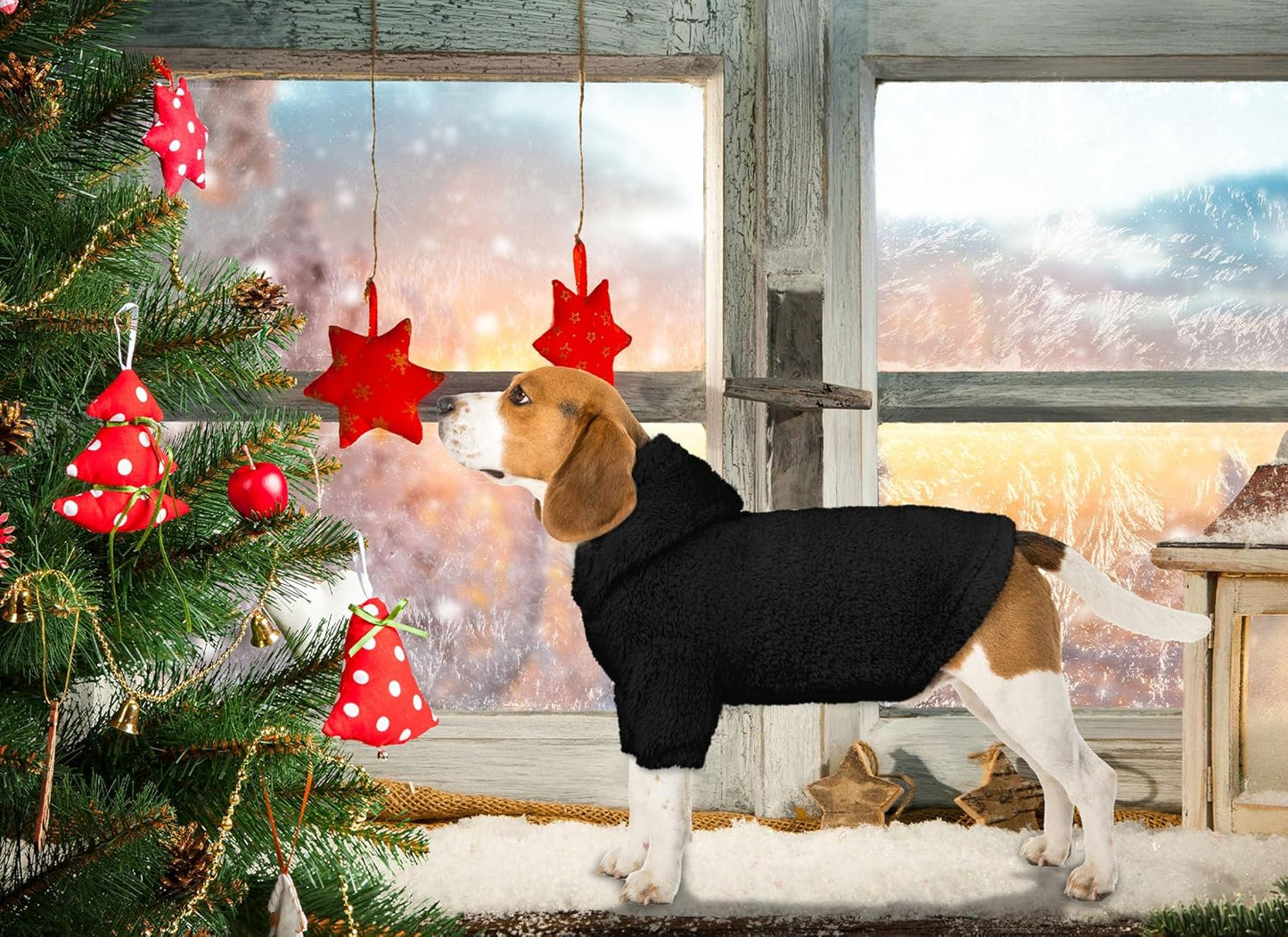 Fuzzy Dog Sweaters for Small Dogs Dog Hoodie Pet Clothes Warm Soft Cozy Coats Hooded Sweatshirt Fleece Small Pet Hoodies Sweater(Black-XS)