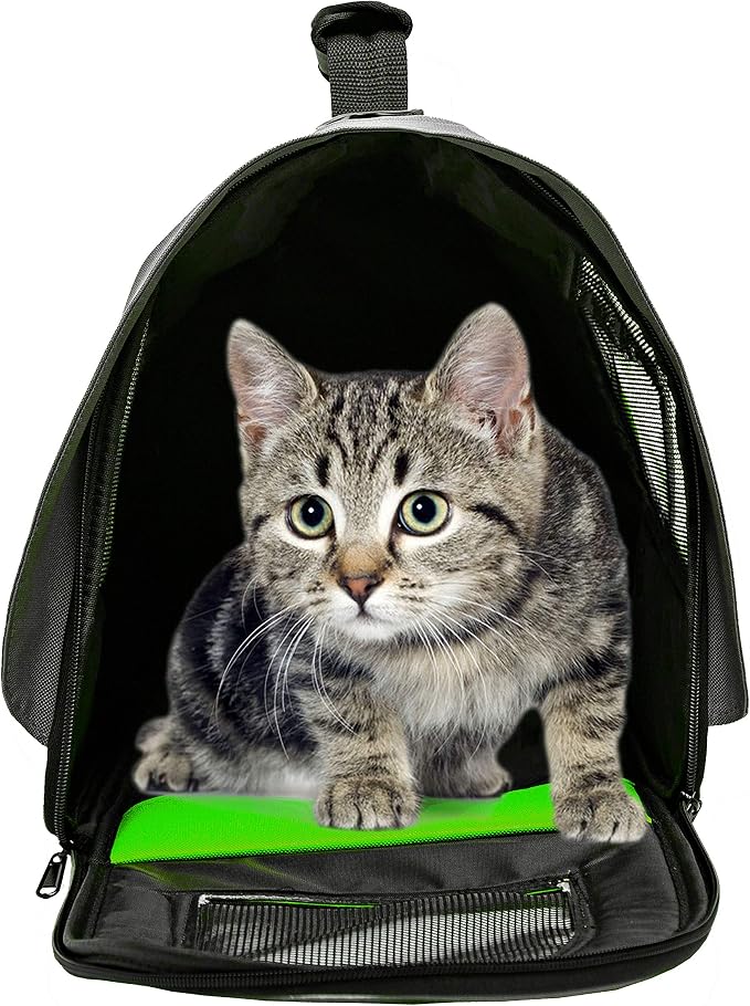 Pawer 18” x 11”x 11” Soft-Sided Foldable Airline Approved Pet Carrier for Cat, Puppy and Small Dog, Washable 600D Oxford Fabric, with Handle and Strap for Carry, Multiple Colors Available
