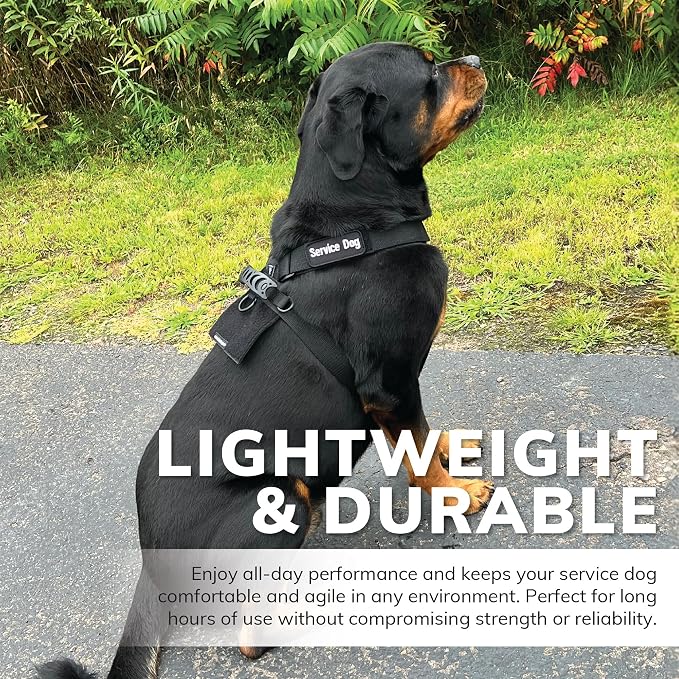 ActiveDogs No Pull Tactical Service Dog Harness, XL | Fits 29"-44" Girths With Adjustable Strap, A Front D-Ring, Quick-Release Buckle, And A Back Plate For Attaching Patches