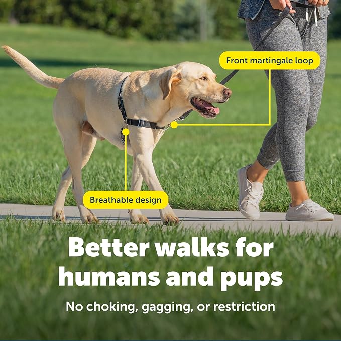 PetSafe Easy Walk Harness, No Pull Dog Harness, Royal Blue, Medium | Patented Martingale Loop Gives Gradual Shoulder Pressure to Stop Pulling, Front-Chest Leash Clip Prevents Gagging