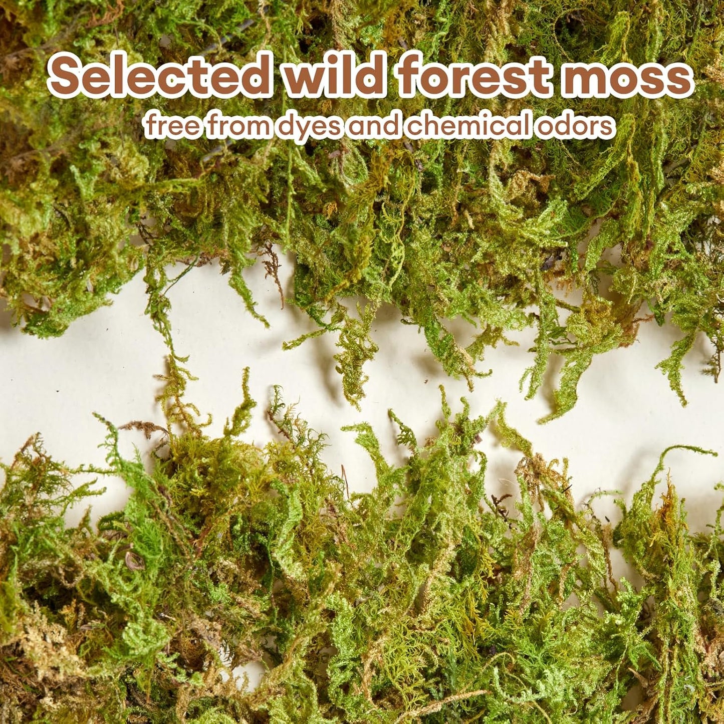 BUCATSTATE 5L Hamster Bedding, Natural Forest Moss Hamster Bedding Odor Control, Nature Hamsters Substrate Cage Accessories for Dwarf Syrian Hamsters, Mice, Gerbils (Dried Moss)