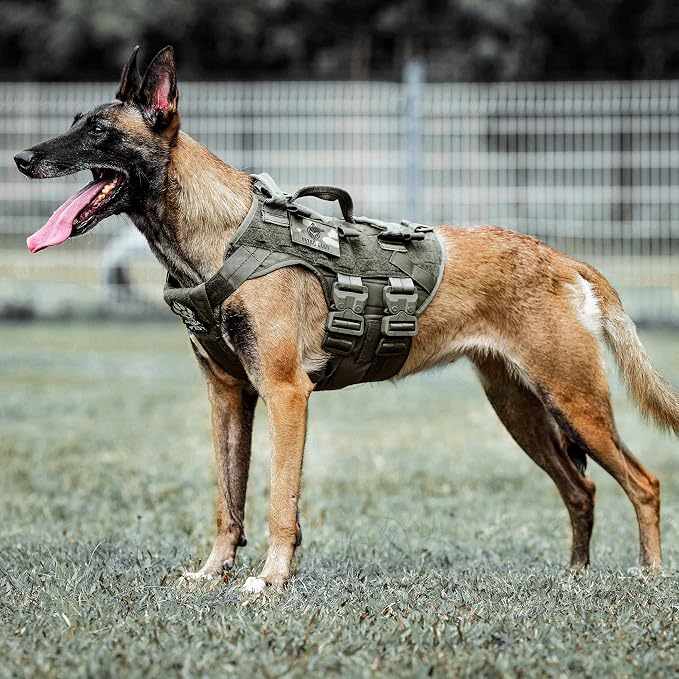 Tactical Dog Harness K9 Dog Training Vest Adjustable Padded Police Service Dog Working MOLLE Vests for Large Medium Dogs Mals GSD Lab… …