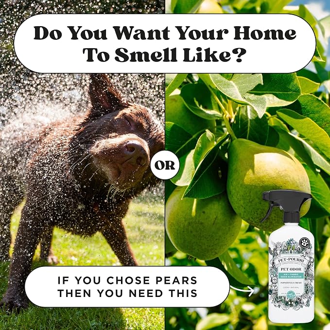 Pet-Pourri Pawsitively Fresh Pet Odor Deodorizer Spray, 16 Fl Oz, Up to 800 Uses, Air + Fabric Odor Remover with Essential Oils & Plant Based Ingredients, Vet Recommended, Pineapple, Jasmine & Pear