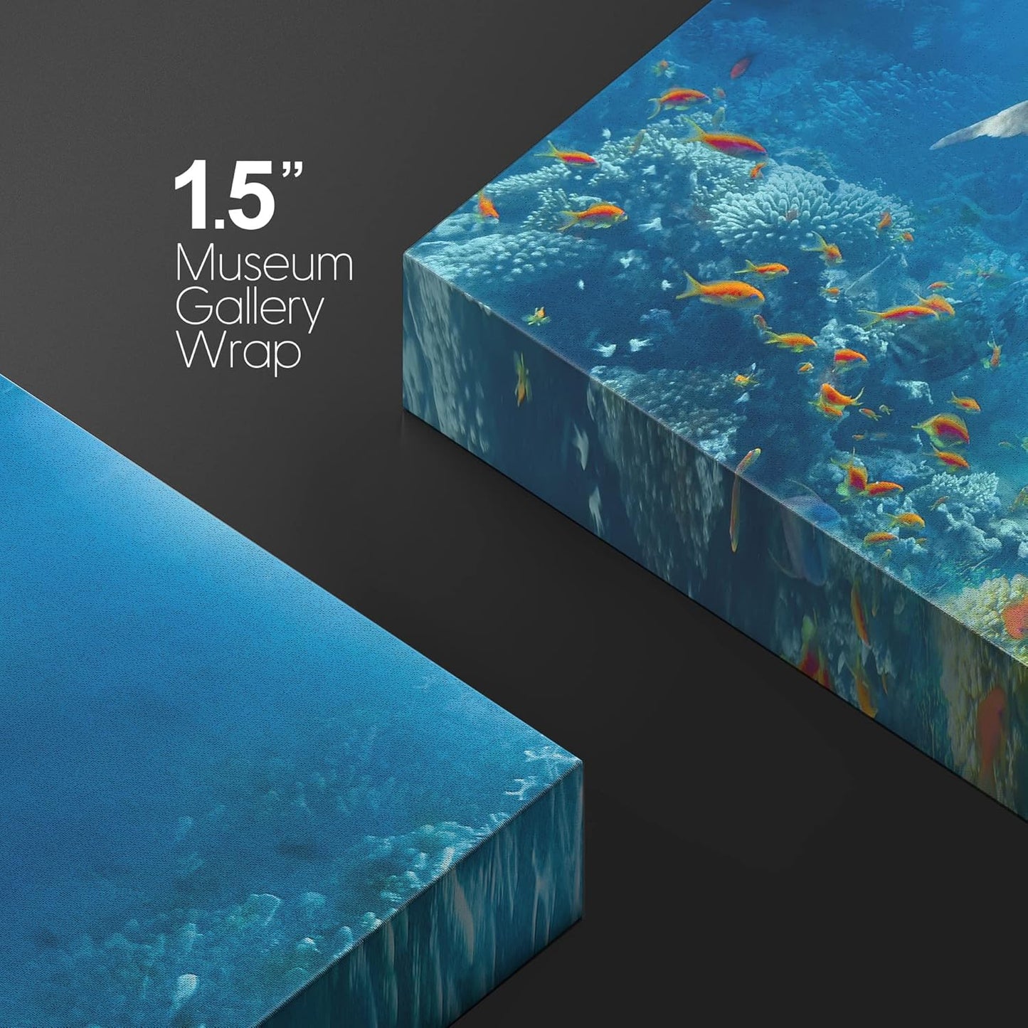 wall26 Canvas Print Wall Art Tropical Ocean Underwater Dolphin Coral Reef Nature Animals Photography Realism Rustic Scenic Landscape Wilderness Colorful for Living Room, Bedroom, Office - 24"x36"