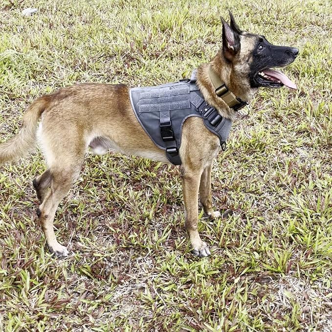ICEFANG Tactical Dog Harness for X-Large Dogs,Reflective No Pull Dog Vest | with Control Handle,Adjustable,Front Hook,2 Leash Clips,Soft Padded,MOLLE Panel,Grey,X-Large