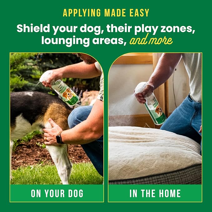 Sunday Pet Protect Flea, Tick, & Mosquito Spray Natural, Effective Bug Spray for Dogs Kills, Controls, Prevents Biting Pests with Cedarwood & Soybean Oil 24 oz