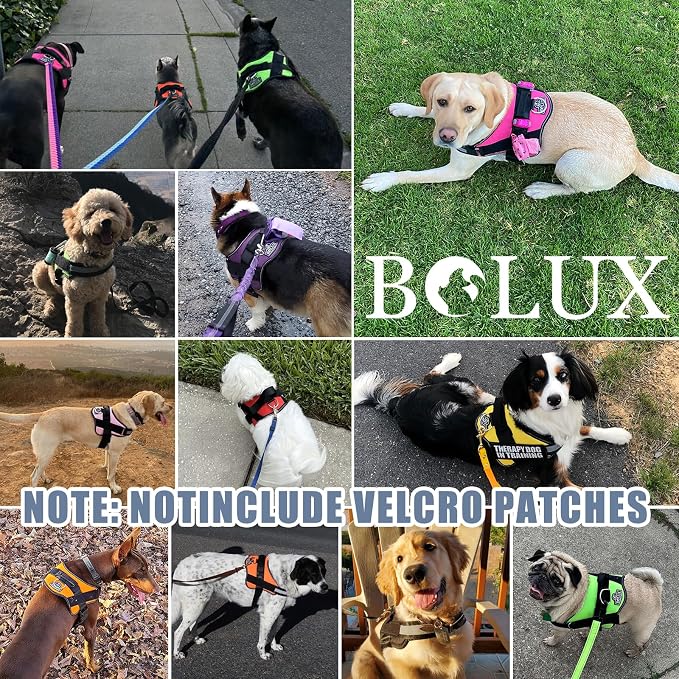 Dog Harness, No-Pull Reflective Dog Vest, Breathable Adjustable Pet Harness with Handle for Outdoor Walking - No More Pulling, Tugging or Choking