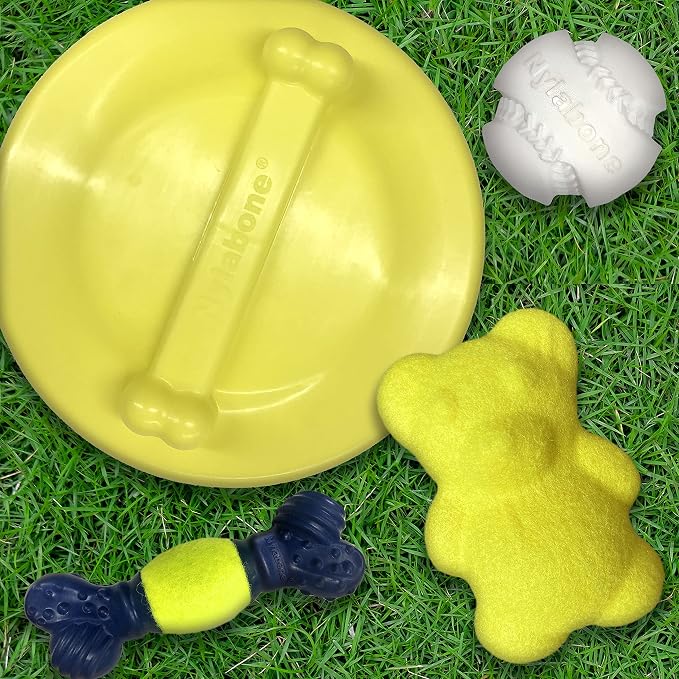 Nylabone Power Play Tennis Ball Teddy Bear Gripz Felt Rubber Fetch Toy, Squeaky Toys for Dogs, Medium (1 Count)