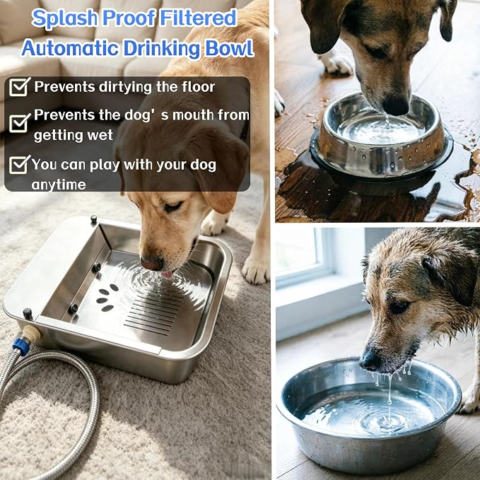 Automatic Water Dispenser for Dogs Slow-Drink,Splash-Proof Design | 3 Gallon Stainless Steel Outdoor Drinking Bowl Self-Filling Water Bowl for Large Dogs,Suitable for Cats,Dog(11L-A)
