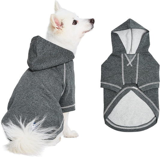 Blueberry Pet Essentials Soft & Comfy Better Basic Cotton Blend Dog Hoodie Sweatshirt in Charcoal Grey, Back Length 16", Pack of 1 Jacket for Dogs