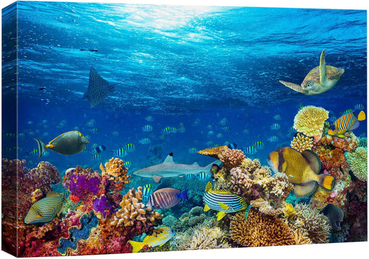 wall26 Canvas Print Wall Art Vibrant Sunshine Ray Coral Reef Turtle Fish Nature Animals Photography Realism Rustic Scenic Landscape Wilderness Colorful for Living Room, Bedroom, Office - 24"x36"