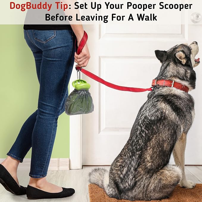 DogBuddy Pooper Scooper, Portable Dog Pooper Scooper, Poop Scooper for Small and Large Dogs, Pooper Scooper with Bag Attachment, Leash Clip and Dog Waste Bags Included (Large, Kiwi)