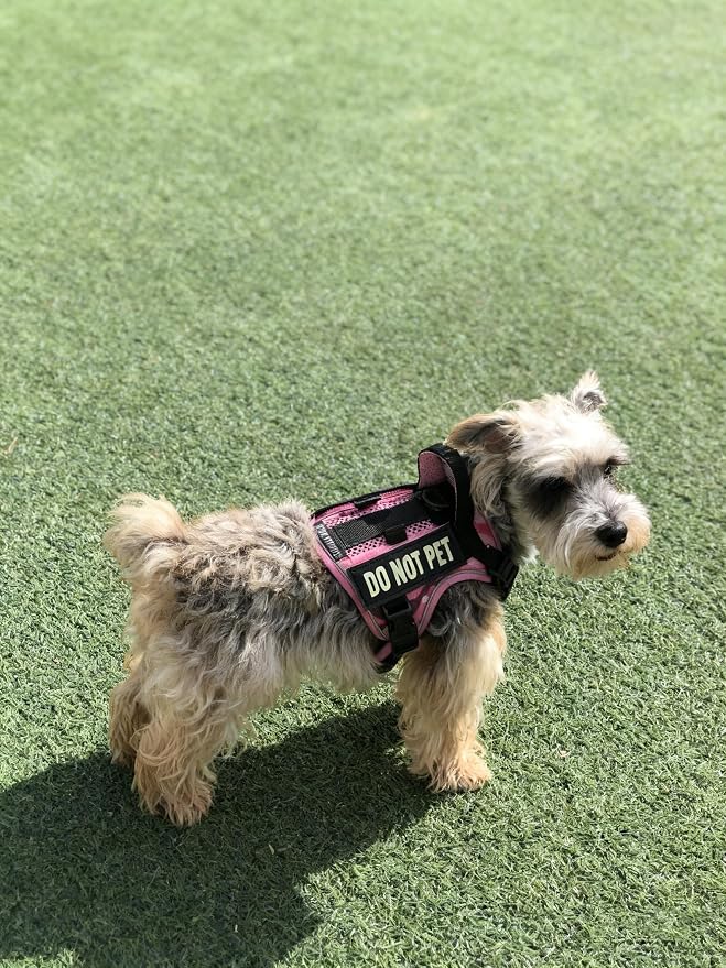 Tactical Dog Harness for Small and Medium Breeds, Air Dog Vest No Pull with Reflective Do Not Pet Patches, Breathable Dog Molle Vests for Training Walking Hunting Camo Pink
