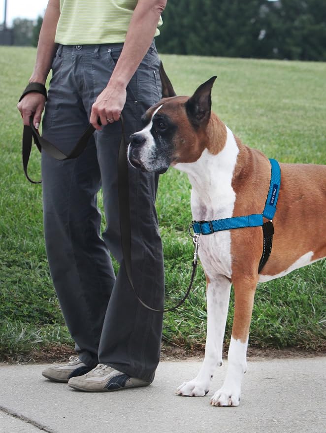 Petsafe Deluxe Easy Walk Harness, Small, Ocean Blue, Model:EWH-D-HC-S-OCN | Padded Neoprene Straps, Reflective Strips for Night Safety, Martingale Loop Curbs Pulling from the Chest, Not the Throat