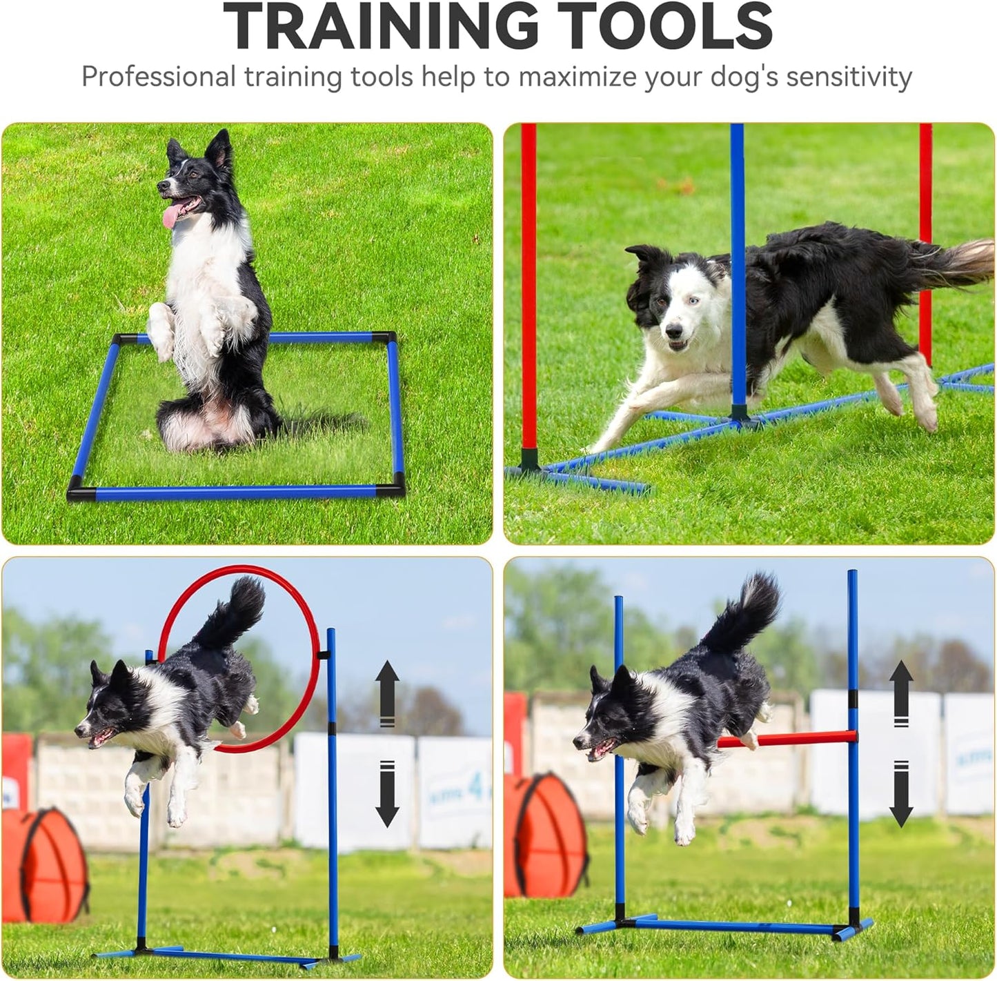 YITAHOME Dog Agility Training Equipment Set with 2 Flexible Tunnels, 2 Hurdles, Jump Ring, 6 Weave Poles, Pause Platform, Teaser Pole, 3 Flying Discs, and Carry Bags for Indoors Outdoors, Orange/Blue