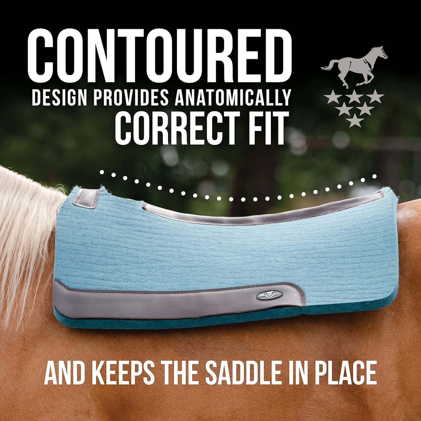Professional's Choice 100% Steam-Pressed Wool Felt Saddle pad