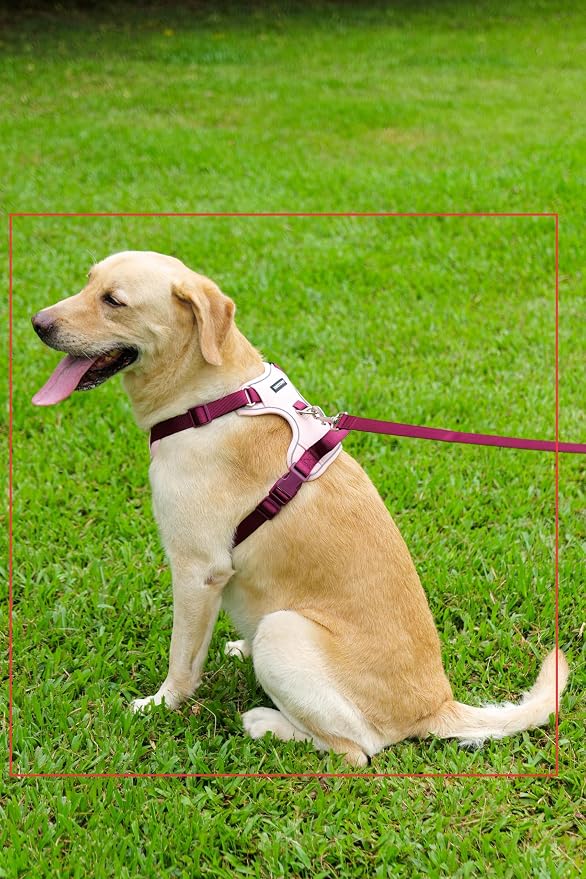 Dog Harness and Leash Set with Collar, No Pull Reflective Pet Vest Harness with Control Handle for Medium Large Dogs Walking and Training