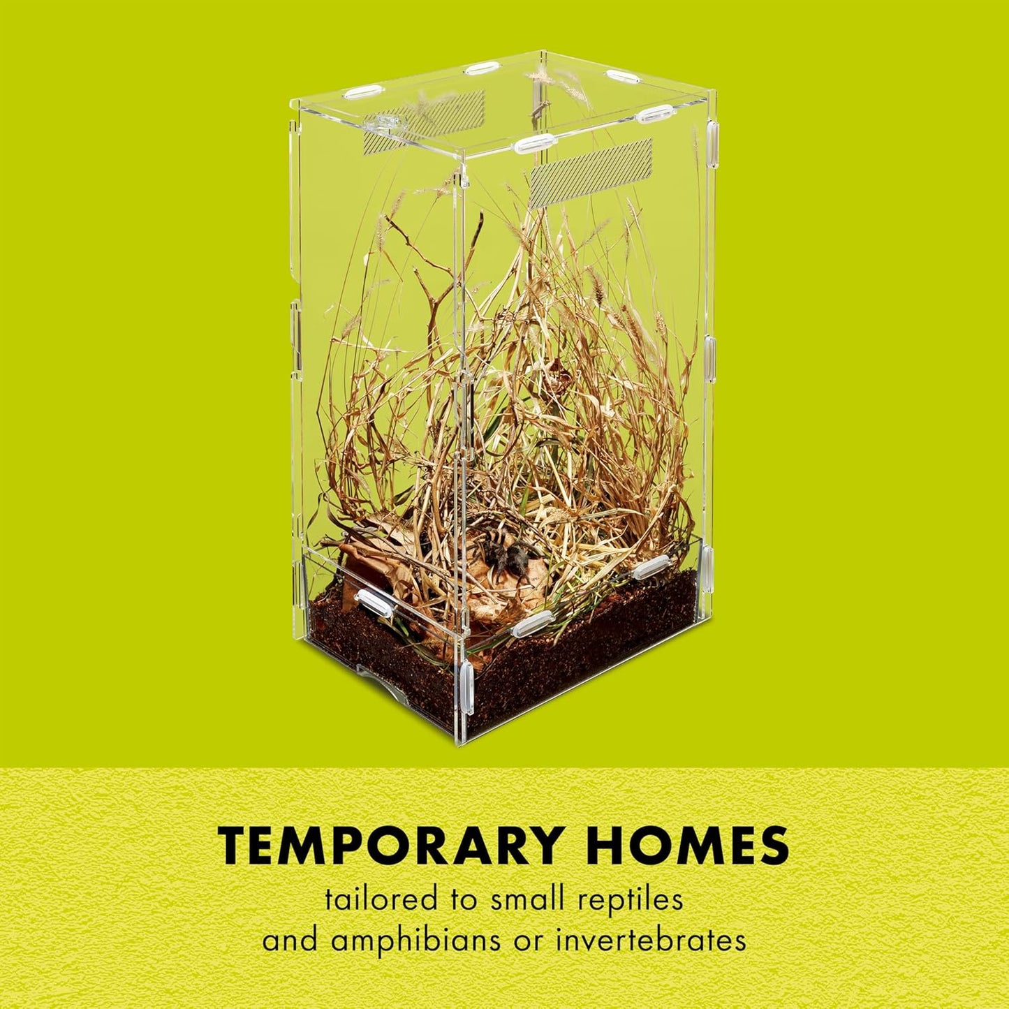 Zilla Micro Habitat Terrarium, Arboreal, with Locking Latch, for Isopods, Spiders, Insects, Large