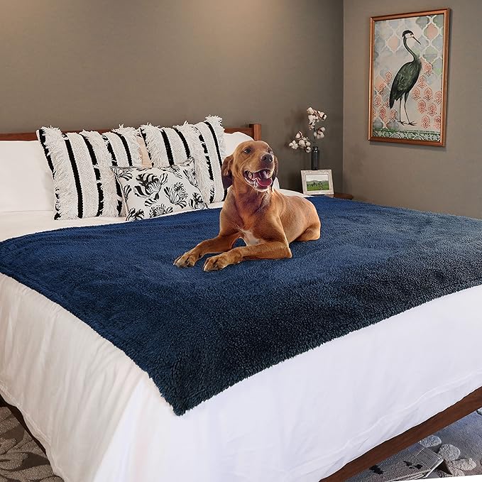 rocket & rex Extra Large Waterproof Dog Blanket, Blue, Washable Waterproof Pet Blanket Protects Beds, Couches & Other Furniture, Premium Fleece Fabric with Reversible Faux Suede, 56" x 73" (Pack of 1)