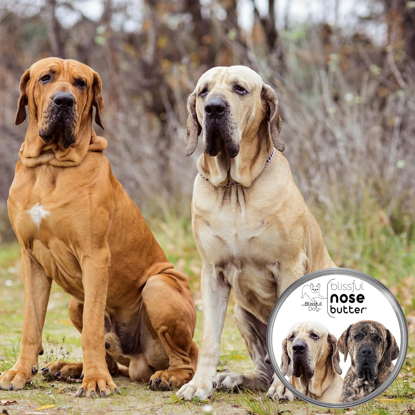 The Blissful Dog Fila Brasiliero Unscented Nose Butter, 16oz