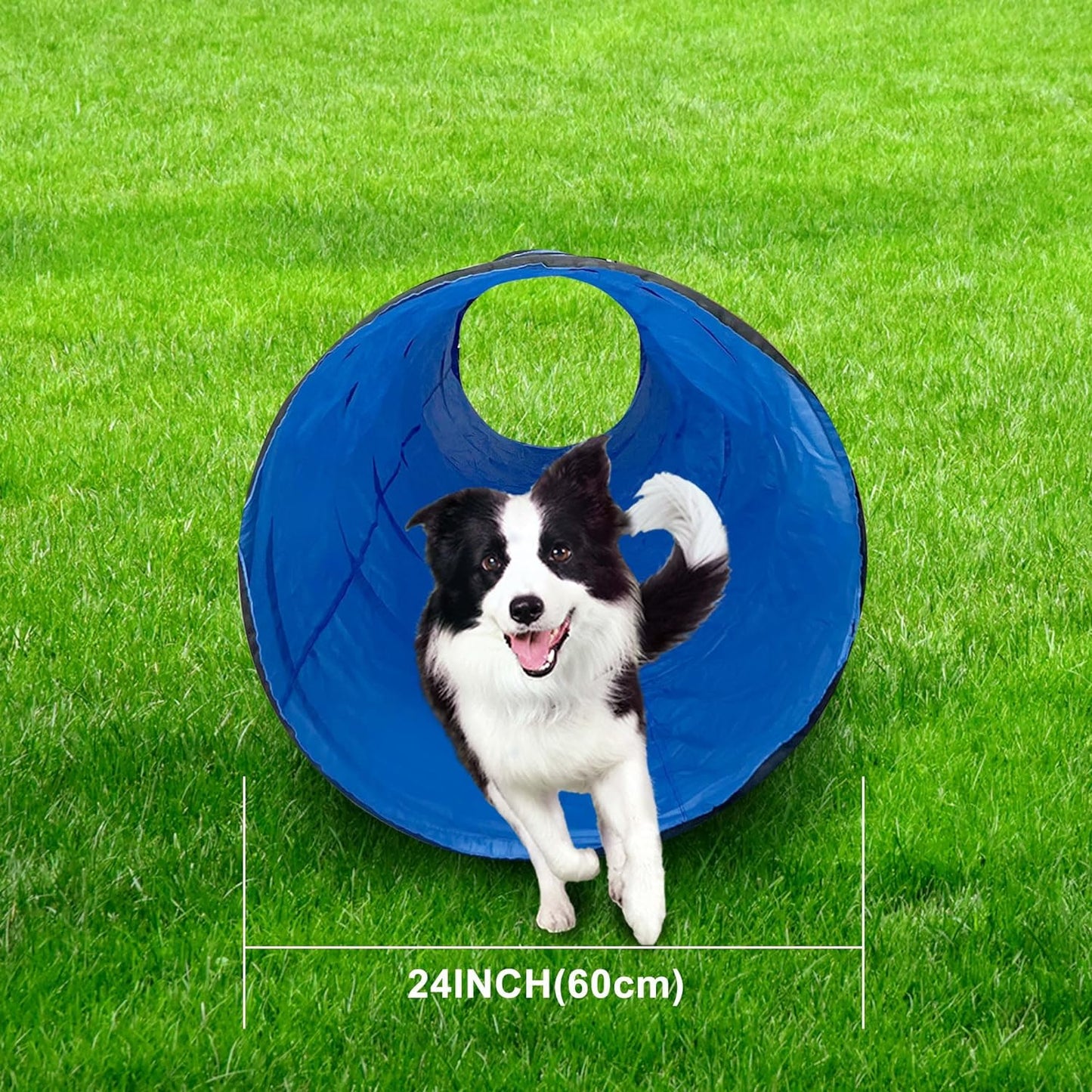 Dog Agility Tunnel, Dog Agility Equipment, Dog Agility Training with Carry Bag (Blue)