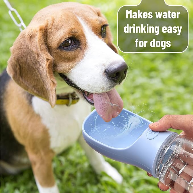 Mr. Pen- Portable Dog Water Bottle, 19 oz, Large | Leak Proof Puppy Water Dispenser with Drinking Feeder for Pets, Outdoor Walking, Hiking, Travel, Not Dishwasher Safe