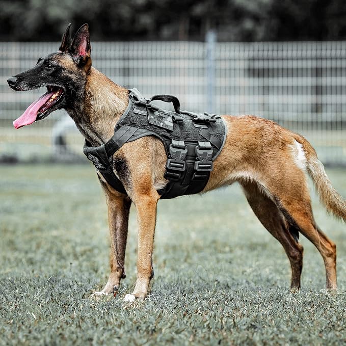 Tactical Dog Harness K9 Dog Training Vest Adjustable Padded Police Service Dog Working MOLLE Vests for Large Medium Dogs Mals GSD Lab… …