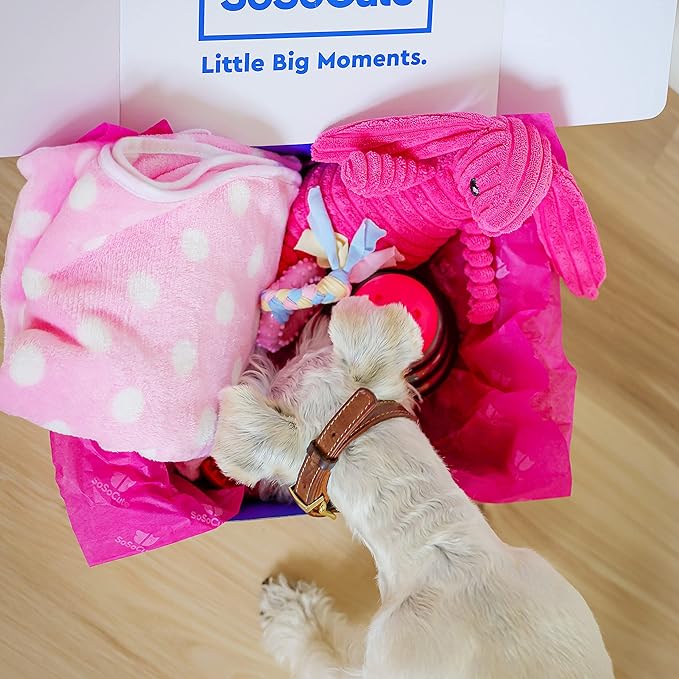 SoSoCute Pink Dog Gift Box - Puppy Chew Toy Set of 5 - Care Package with Dog Blanket, Squeaky Plush, Rubber Puppy Teether, Teething Ball, and Treat Ball for Small and Medium Dogs