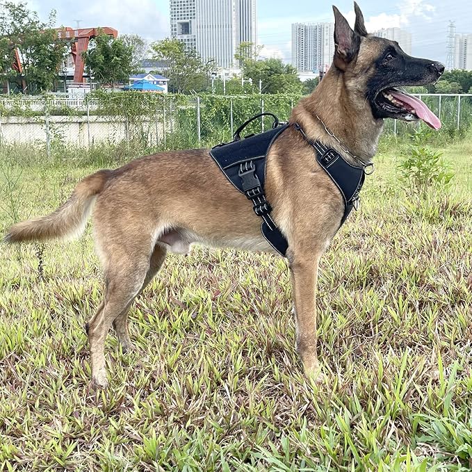 ICEFANG GN8 Tactical Dog Harness for X-Large Dogs,No Pull Dog Vest | Control Handle,Reflective,Adjustable,Hook-and-Loop Panel,3 Leash Clips,Soft Padded,,Black,X-Large