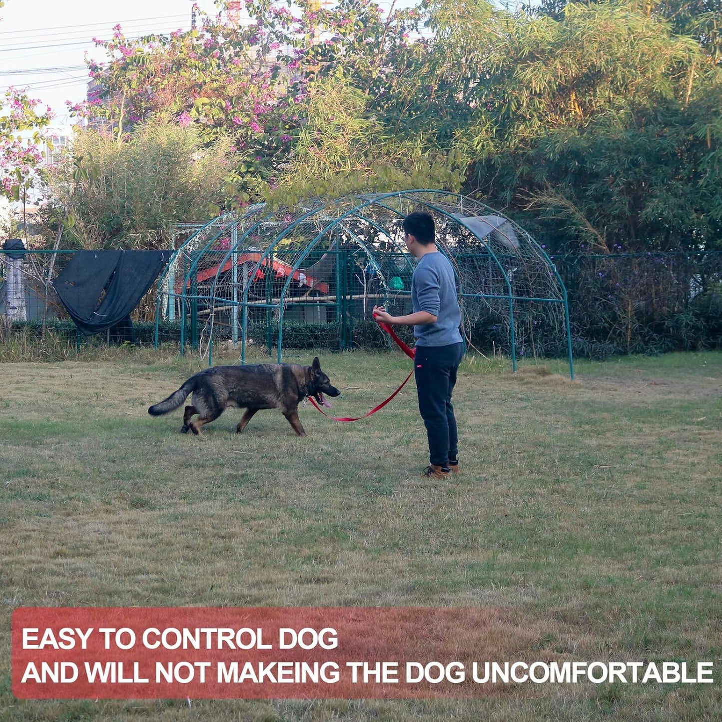 Dog/Puppy Obedience Recall Training Agility Lead - 15ft 20ft 30ft 40ft 50ft Training Leash - Great for Play, Camping, or Backyard - Red 15ft (15Feet, Red)